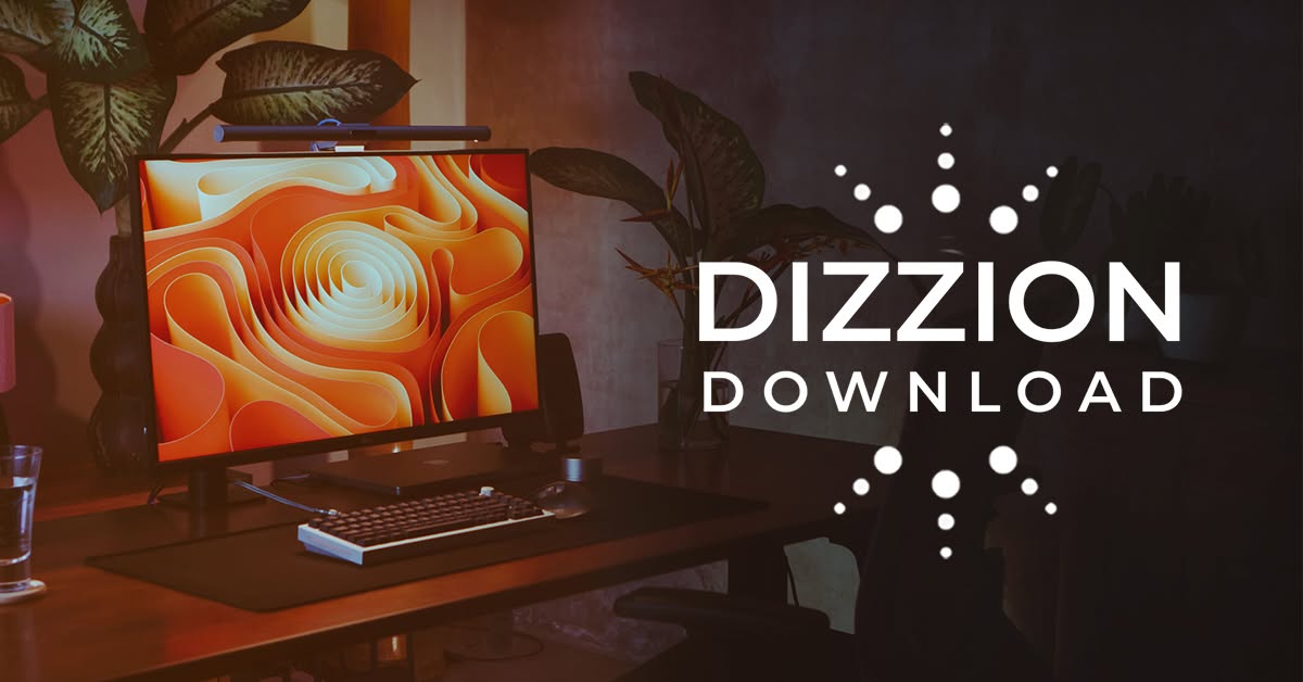 Dizzion_3